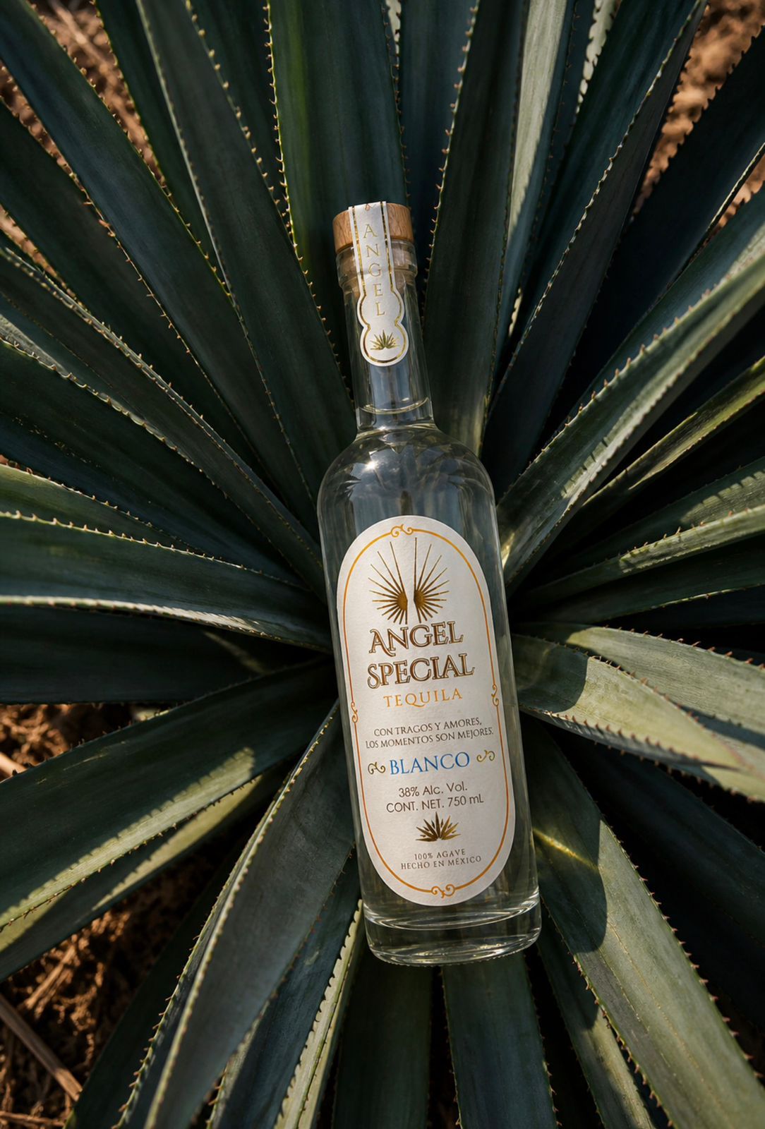 Botella de Angel Special Tequila en los majestuosos campos de agave azul de Arandas, Jalisco